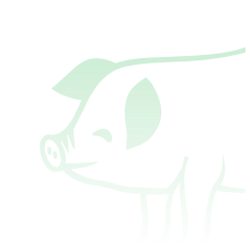 Porcs